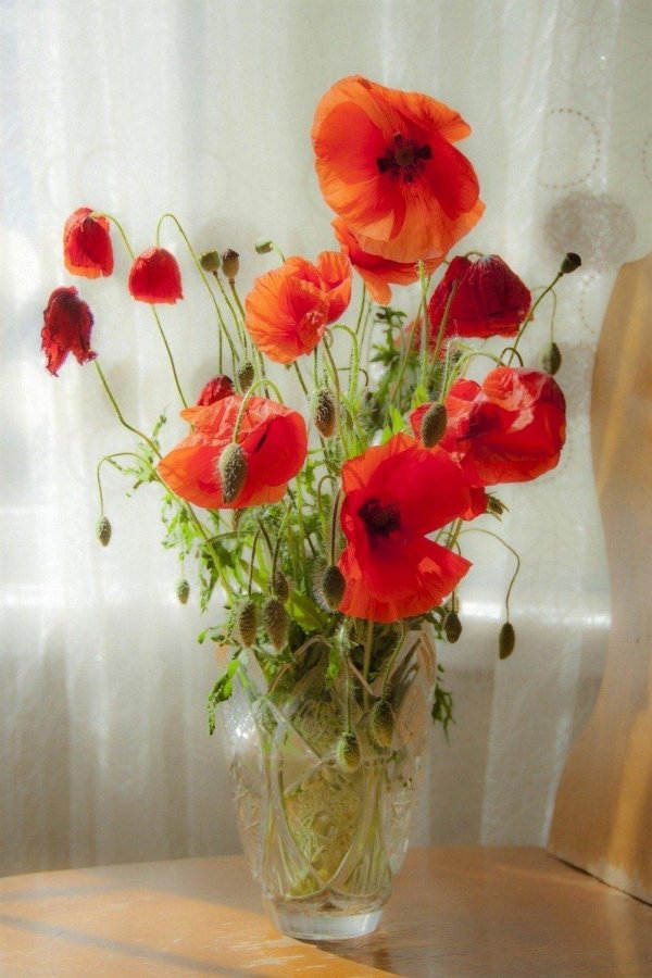 букет маков