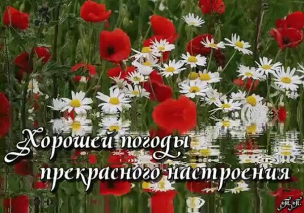 хорошего настроения в любую погоду