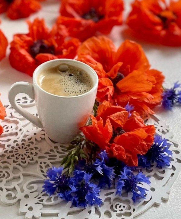 доброго ранку