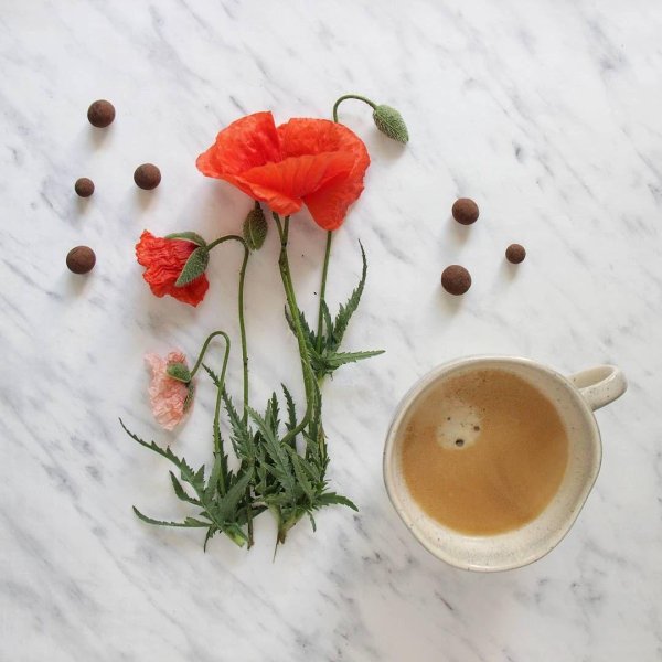 маки и чашка кофе