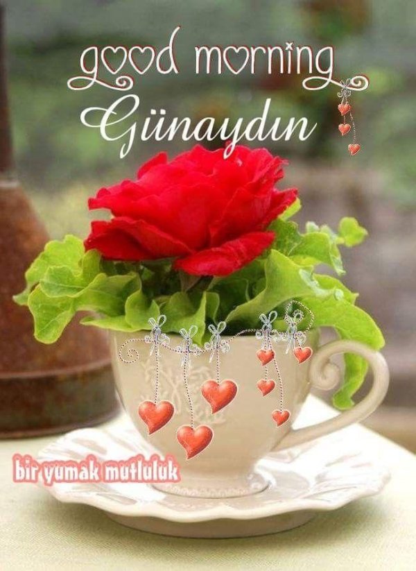 günaydın mesajları