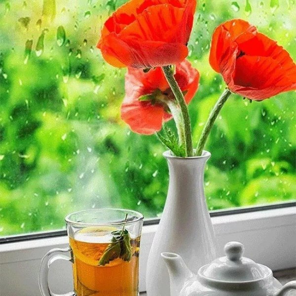 утренние цветы