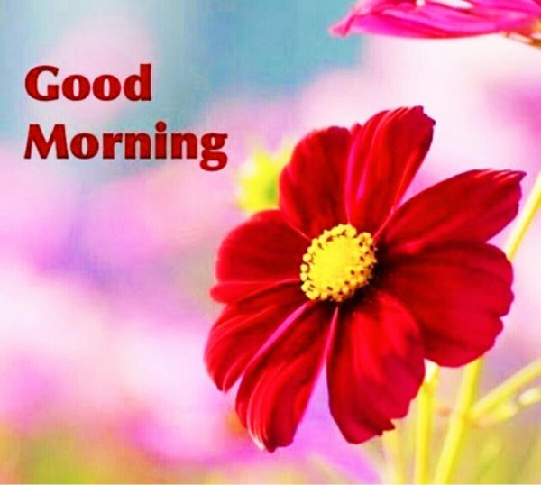 good morning greetings