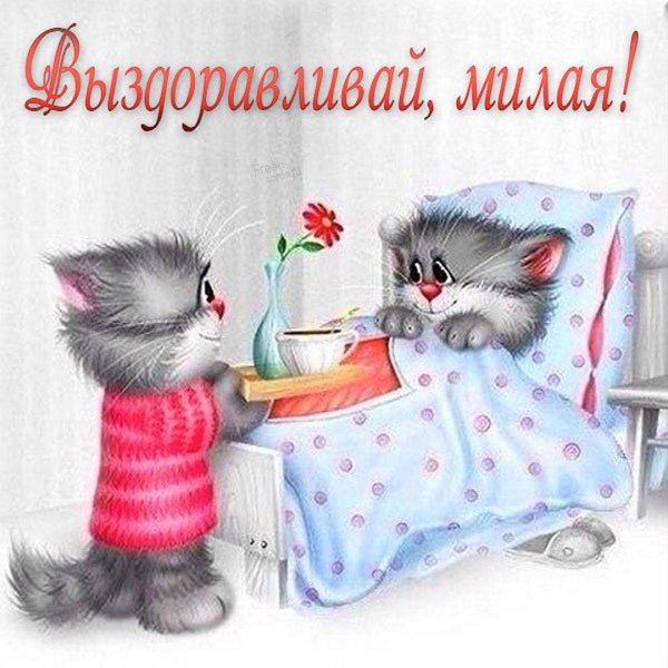 котики алексея долотова