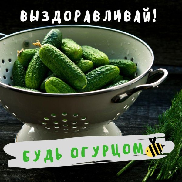 огурец свежий