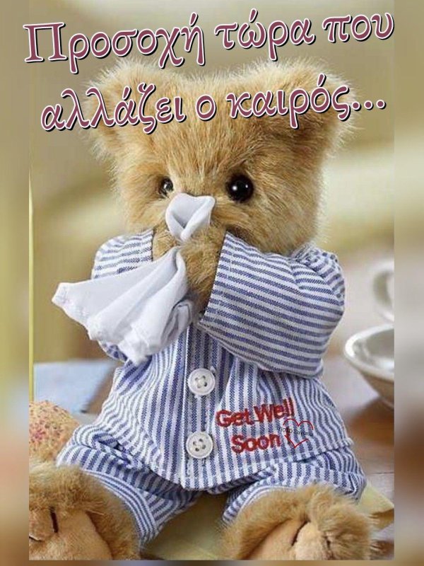 плюшевые медведи