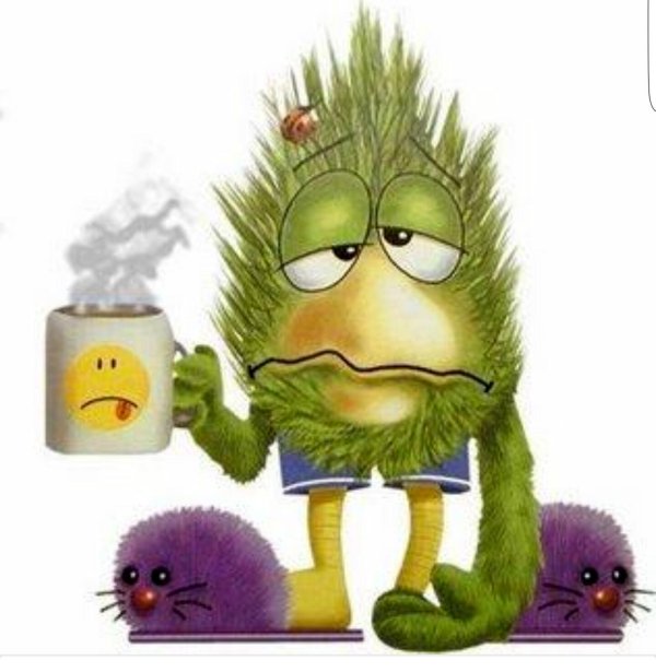 доброго утра с юмором