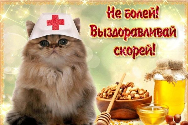 поправляйся выздоравливай