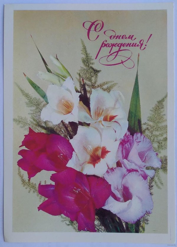 открытка гладиолусы