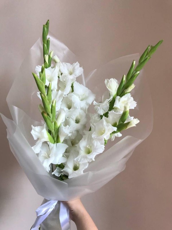 букет белых гладиолусов