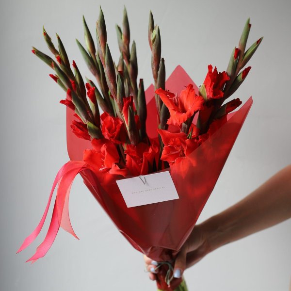 монобукет бордовые гладиолусы