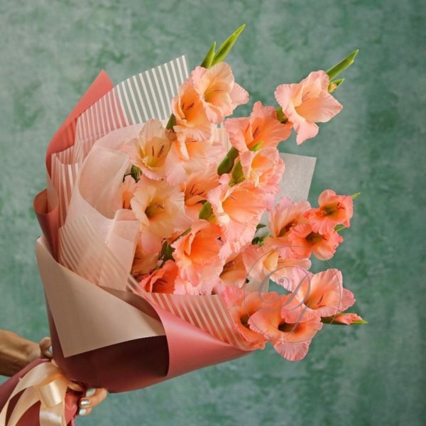 гладиолусы персикового цвета