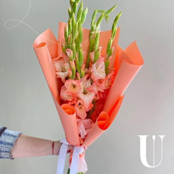 гладиолусы персикового цвета