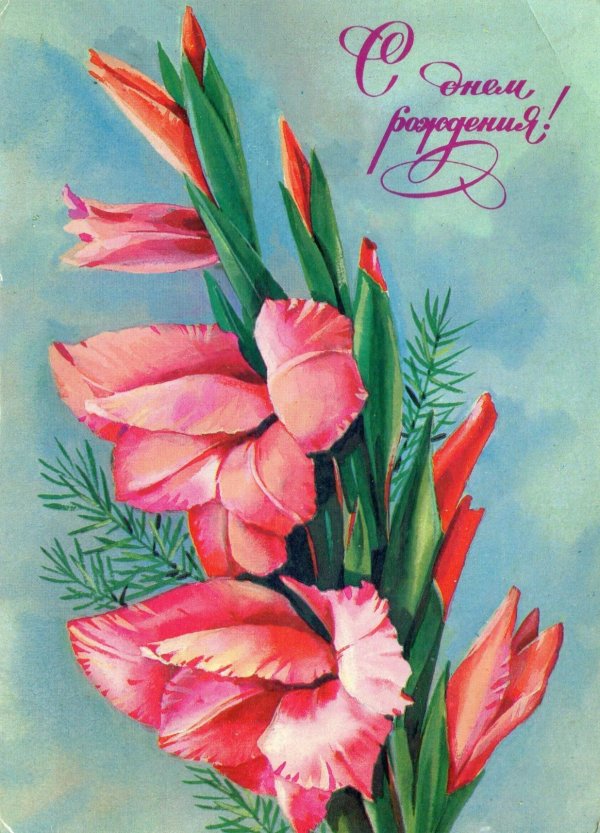 открытка гладиолусы