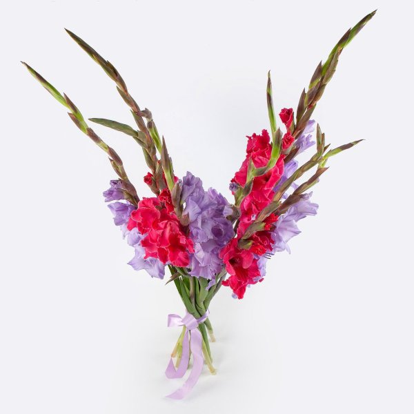 букетмикс из гладиолусов