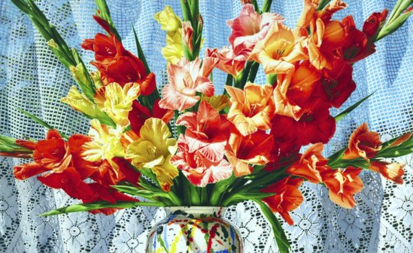 гладиолусы картина