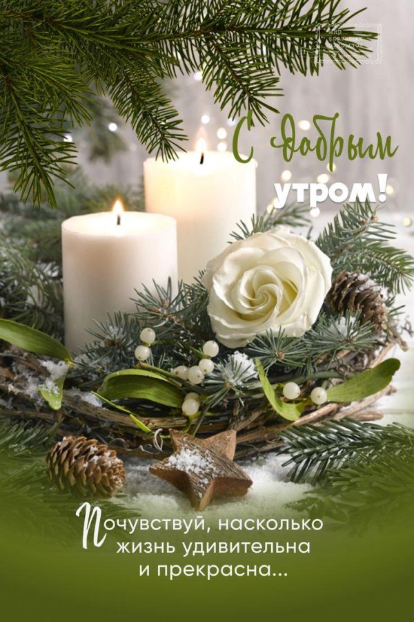 новогодние натюрморты