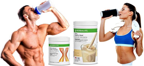 herbalife nutrition протеиновый коктейль