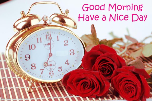 good morning have a nice day