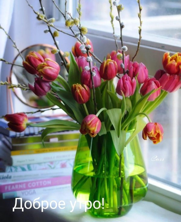 весна цветы утро