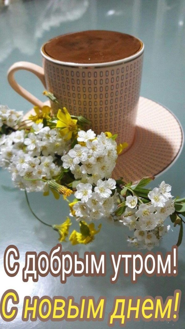 добра утра