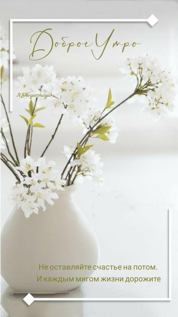 добра утра