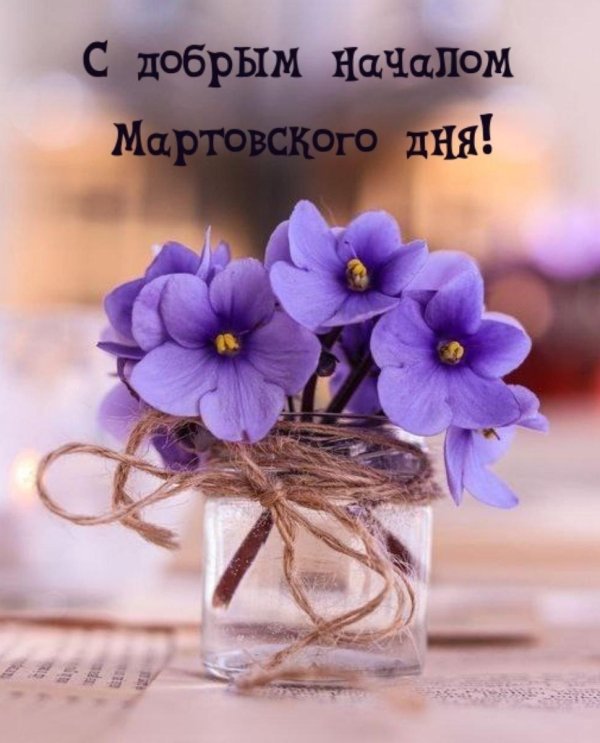 цветок фиалка