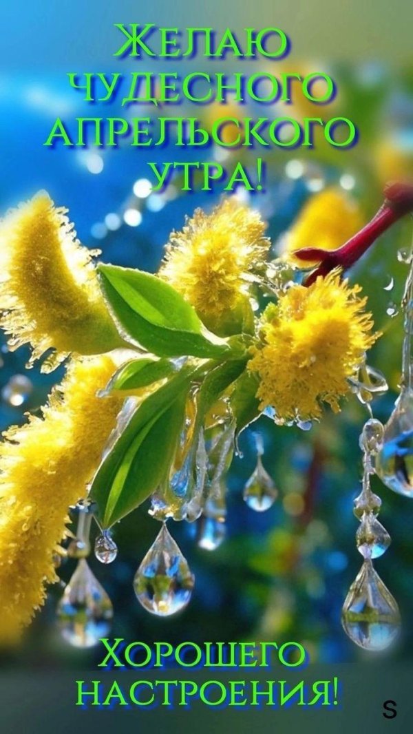 весеннего утра