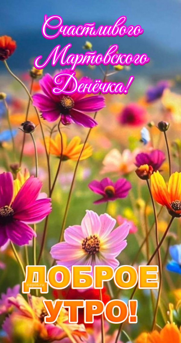 доброе утро цветами