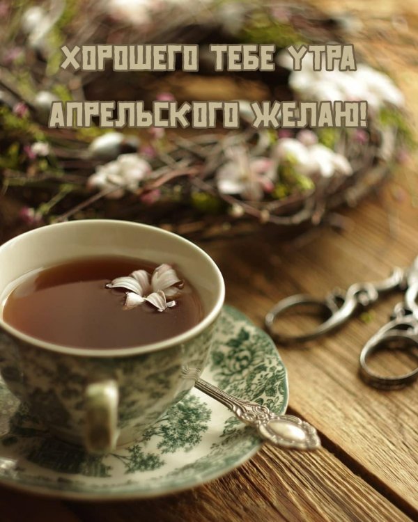 утра пожелания