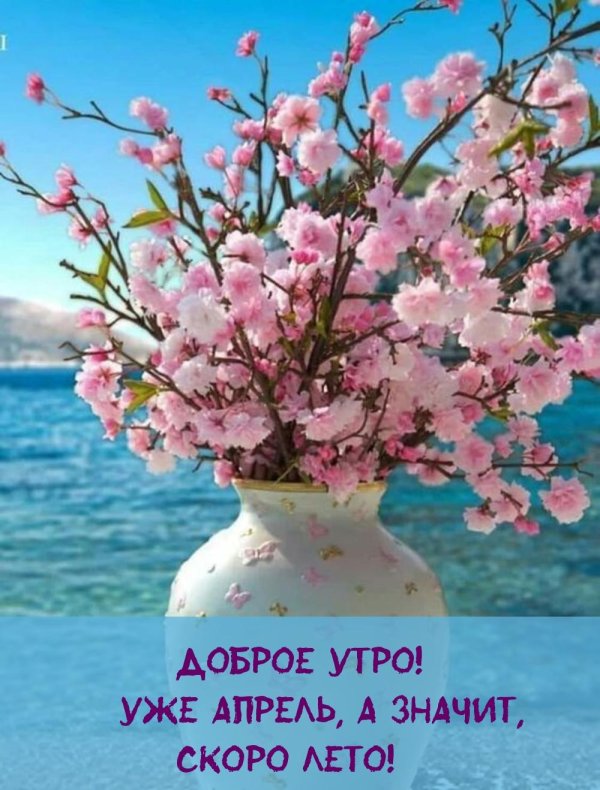 добрейшего весеннего утра