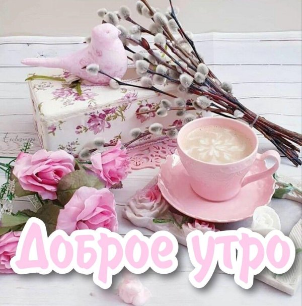 доброе утро красивые весенние