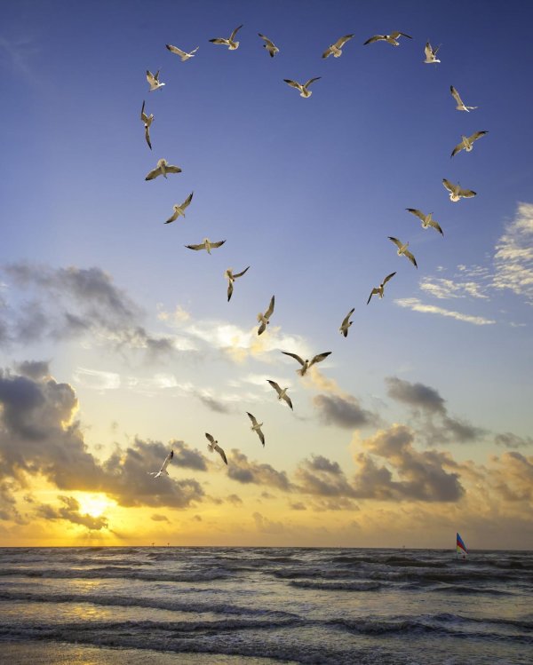 сердце море