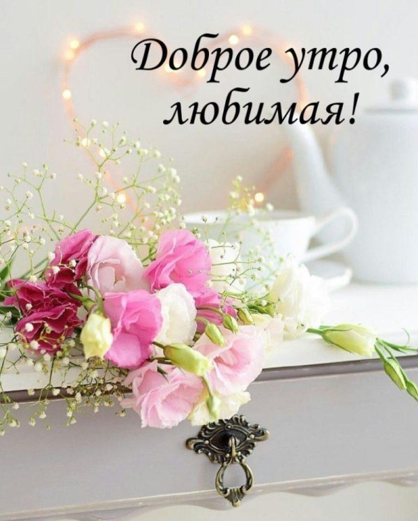 цветы утренние