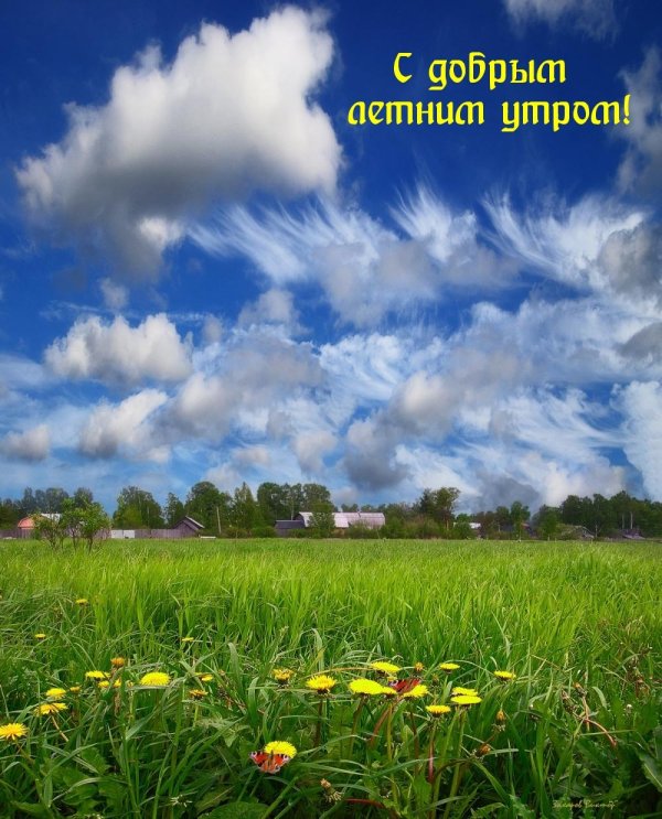 летнего утра
