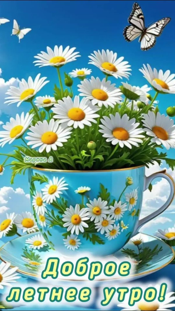 добрейшего летнего утра