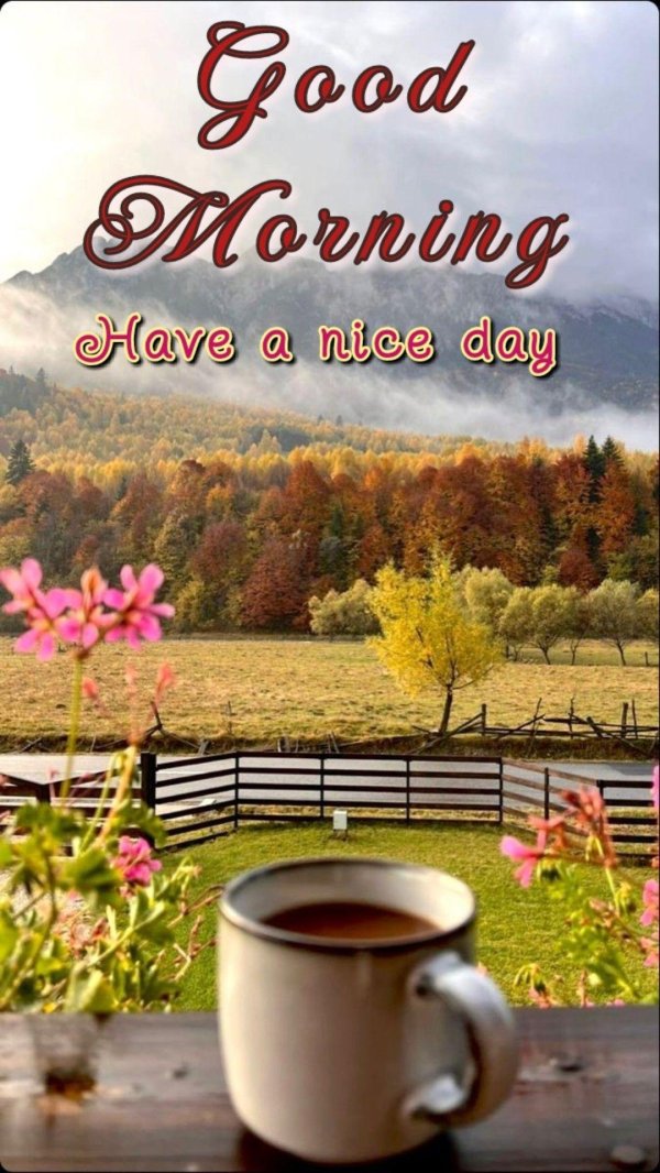 доброго сентябрьского утра