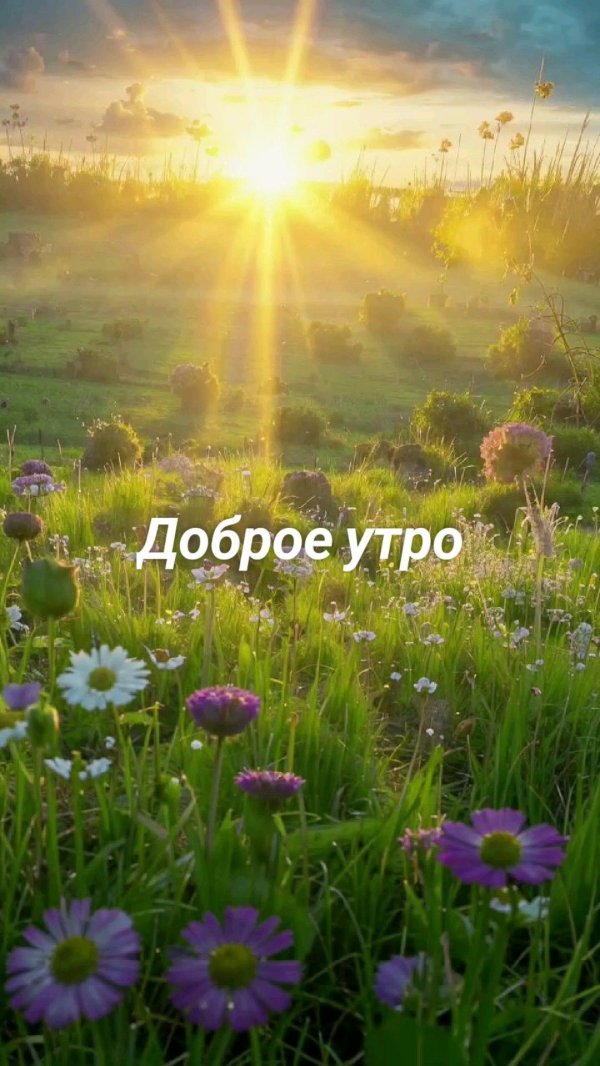 доброго утра природа