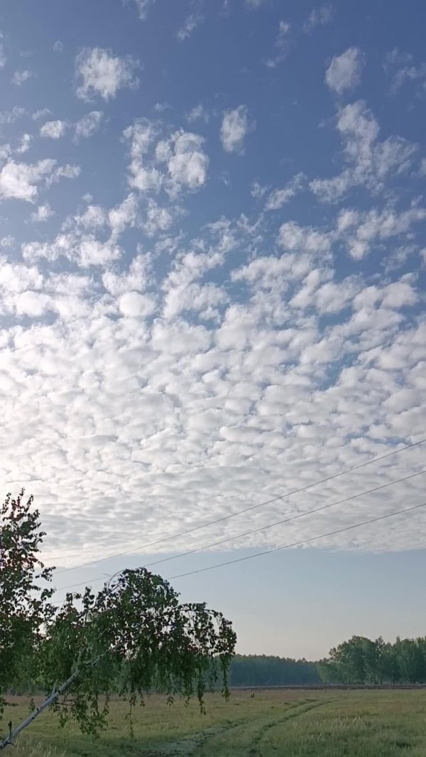 высококучевые altocumulus ac