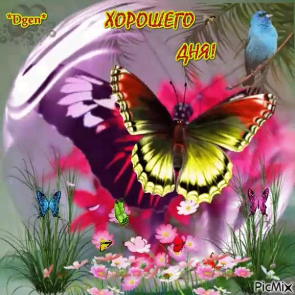 летние анимации