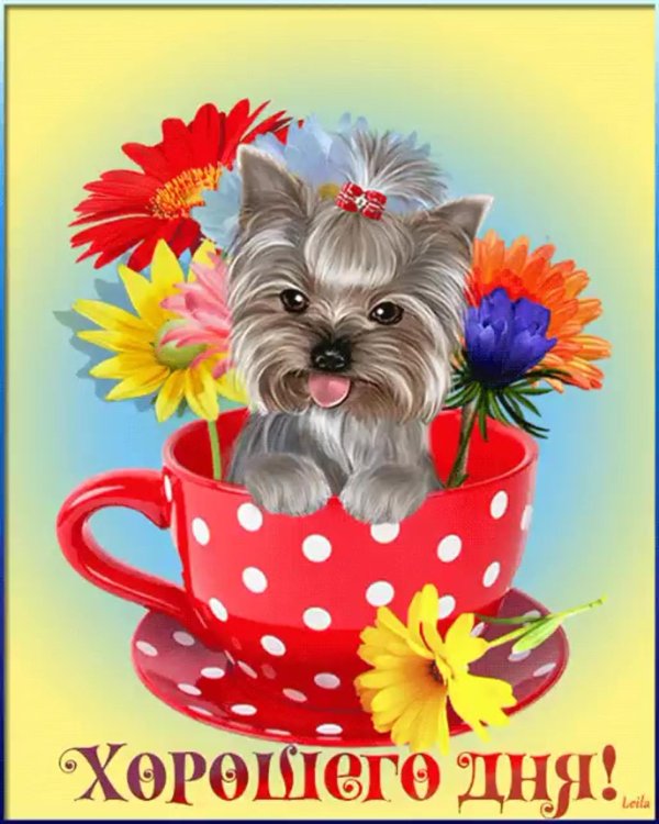 с добрым днем открытка