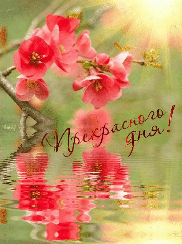 прекрасного дня