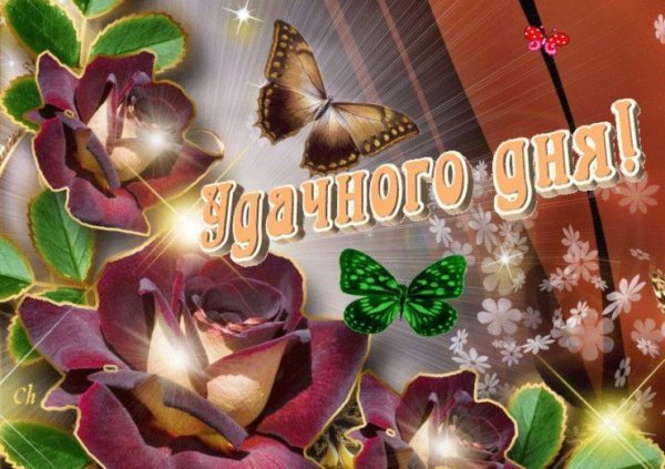 мерцающие открытки добрый день