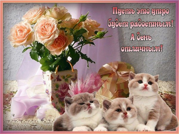 добрые пожелания открытки