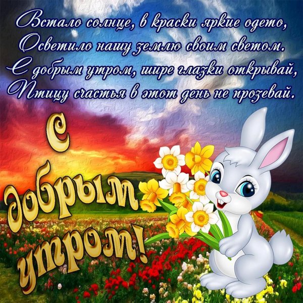 доброе утро зайчонок