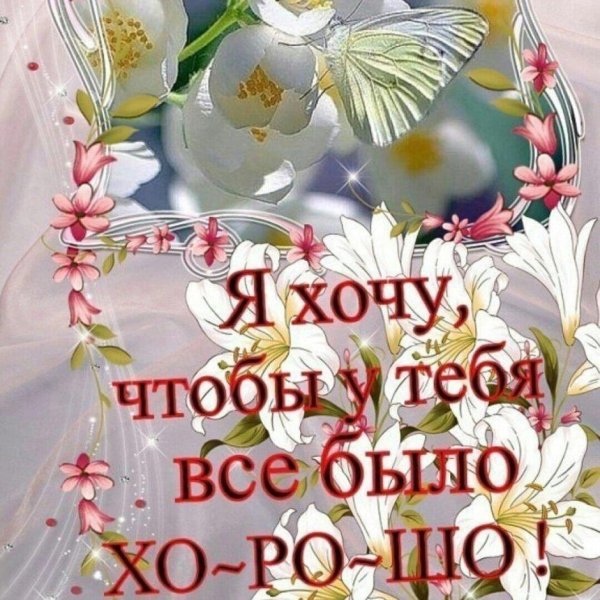 бабочка капустница