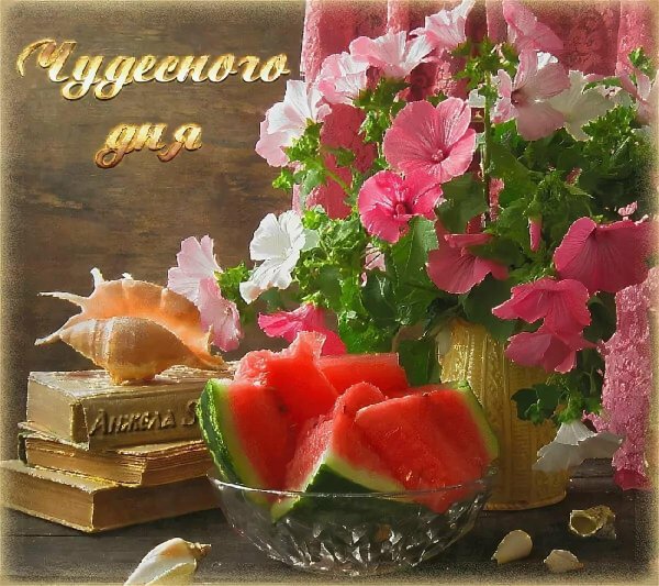 доброго дня красивые