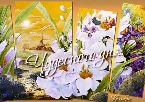 доброго дня анимация