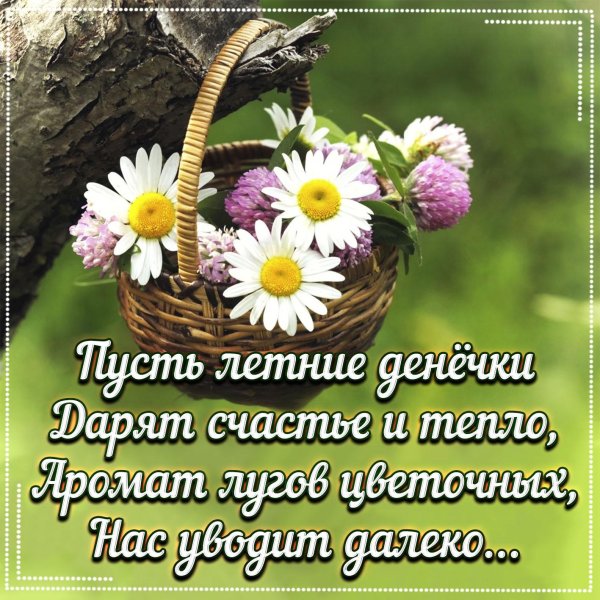 летние пожелания