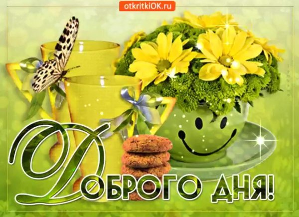 добрый день картинки